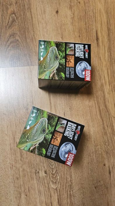 Żarówka Grzewcza 100W ReptiPlanet(2x)