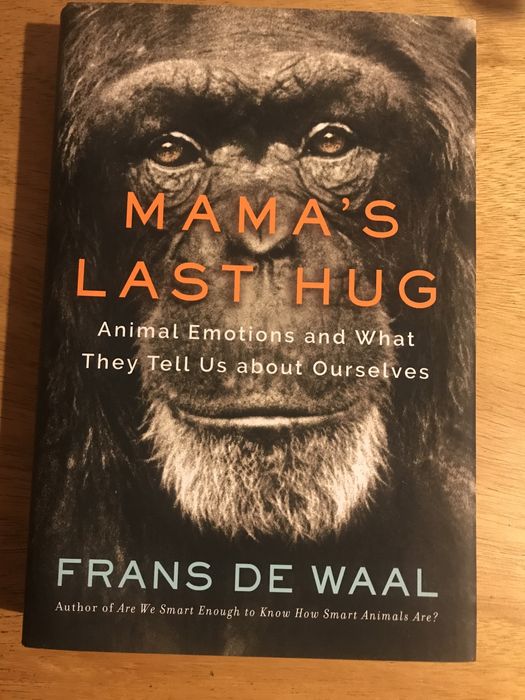 Livro “Mama’s Last Hug”