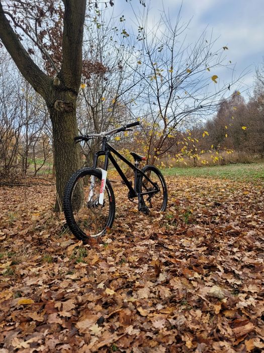 Ns bike source (dirt z przerzutkami)