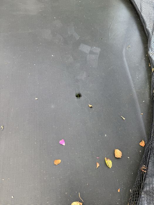 Trampolina ogrodowa 3 m