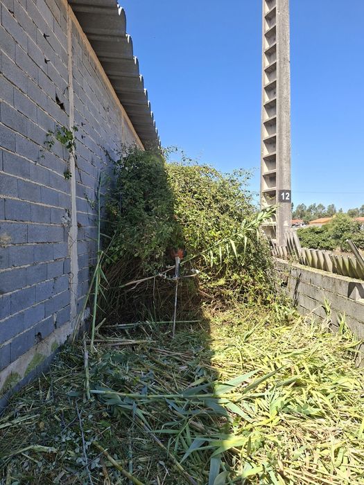 Limpeza de terrenos
