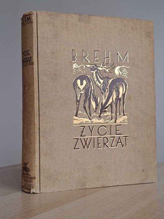 1936 rok. Życie zwierząt. Brehm