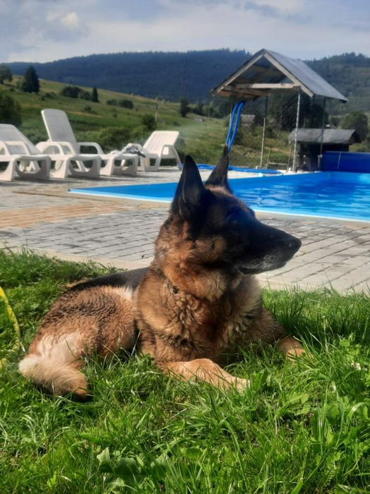 Котедж з чаном та сауною в Карпата біля гк Плай оренда будинку