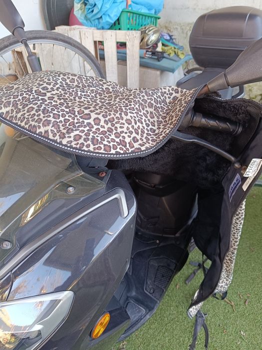 Capa scooter para o frio