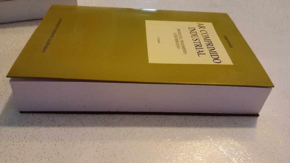 Ar Comprimido Industrial – Produção, Tratamento e Distribuição