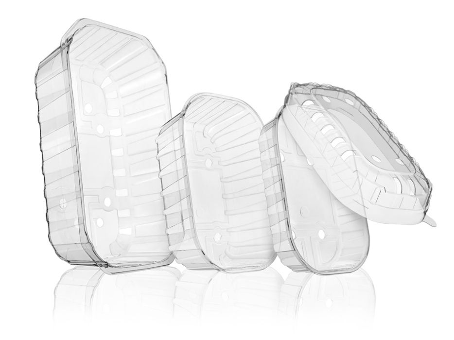 Pojemniki 1000g na owoce, grzyby 1kg, opakowania, punets