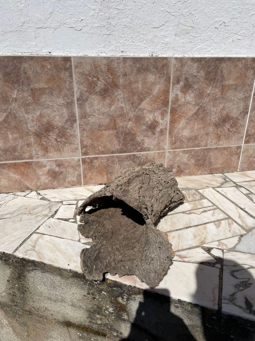 Cortiça para Terrário/Aquário - Mais informações dm