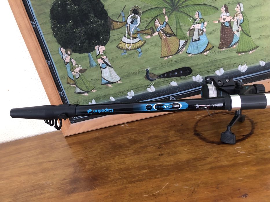 Cana de Pesca Completa com Apoio – Excelente Estado