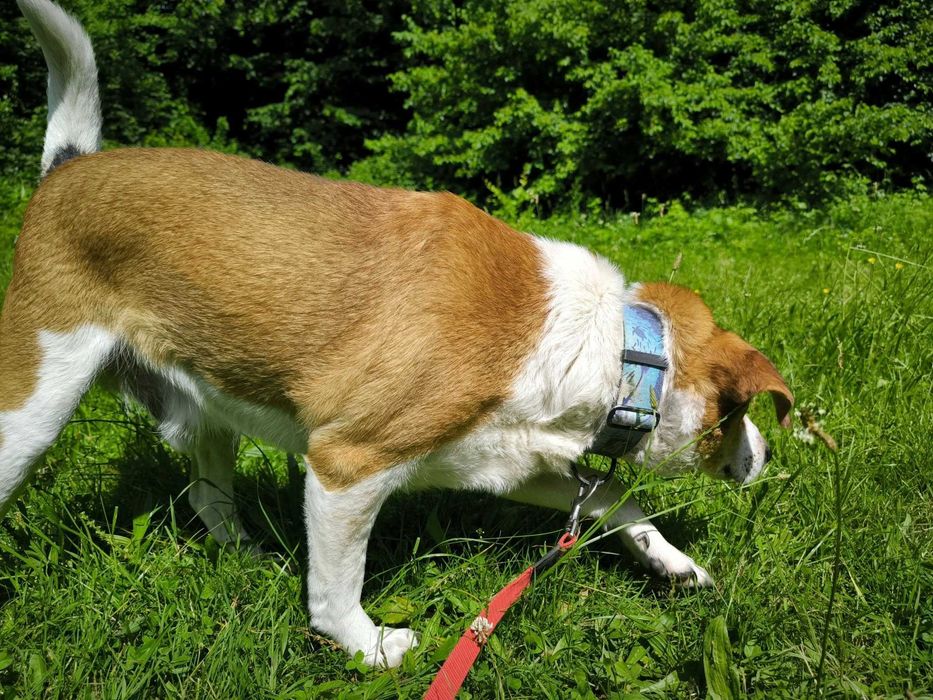 Tak bardzo prosze o dom