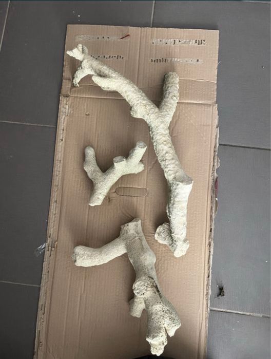 Aquario 100L agua salgads