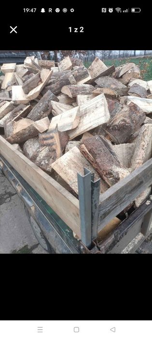 Drewno drzewo opał możliwość transportu