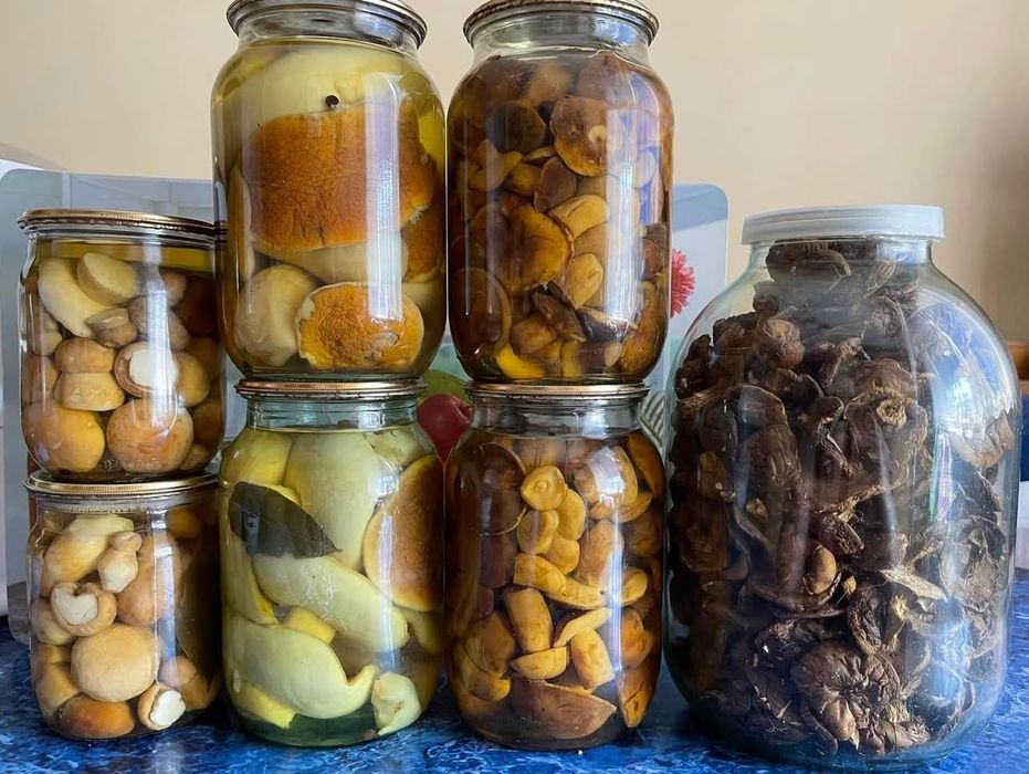 Гриби мариновані та сушені