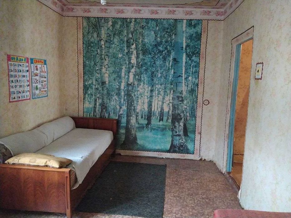 Будинок с.Червонокам'яне, 25км від Дніпра, Велика зем.ділянка.ВЛАСНИЦЯ