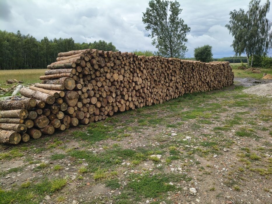Sprzedam  drewno sosna metry