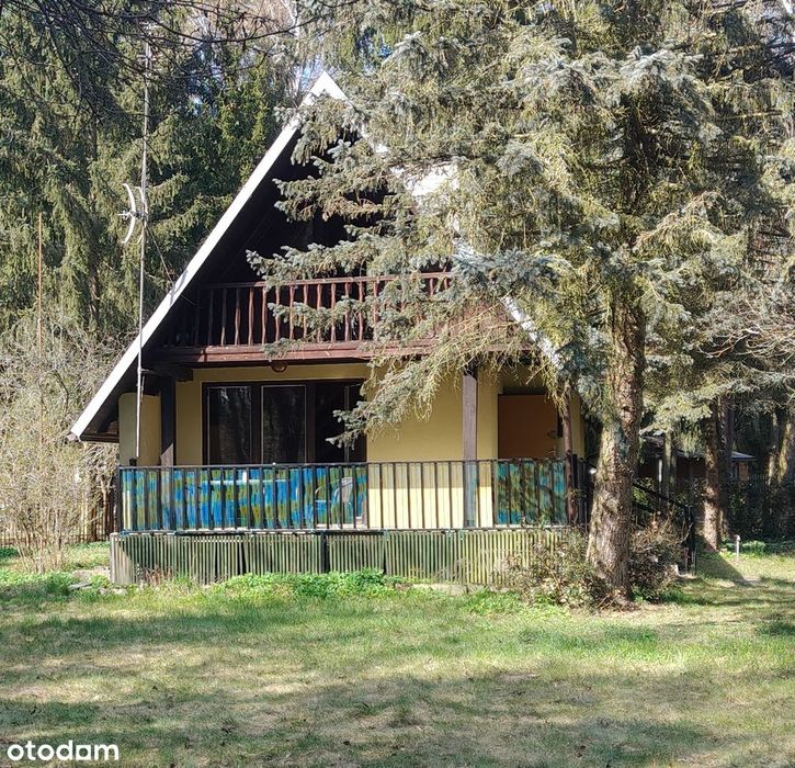 Domek letniskowy 40 m² | działka 1100 m² | blisko Narwi | Nowy Lubiel