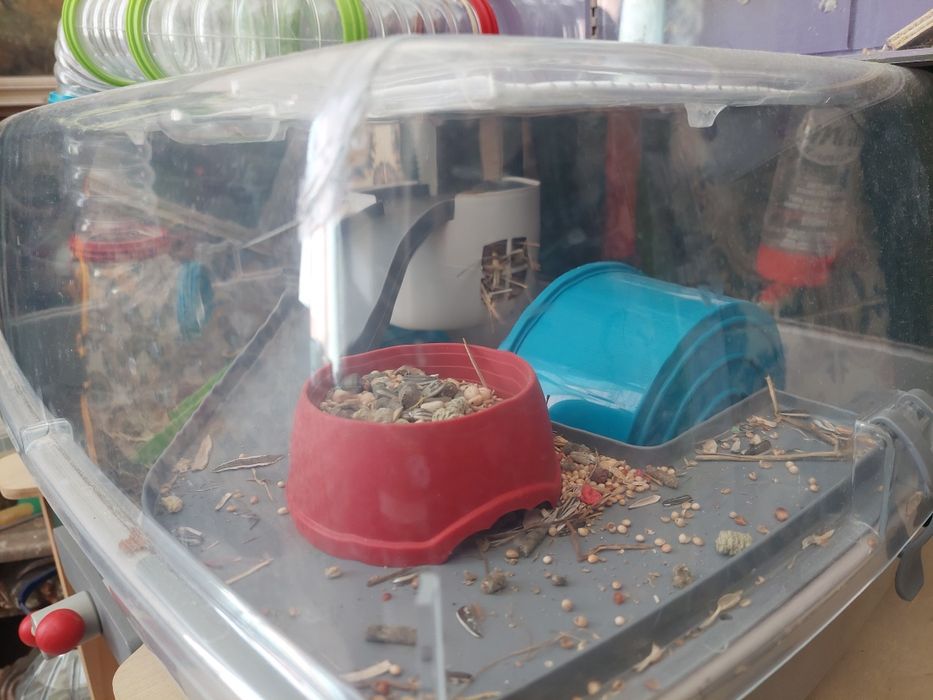Gaiola da hamsters