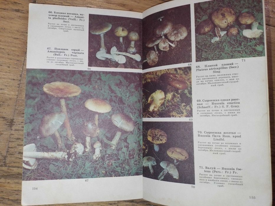 Книга Грибы, Путеводитель по выставке, И.А.Дудка, С.П.Вассер