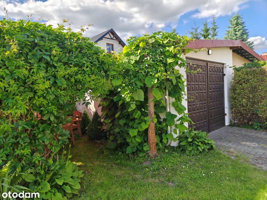 Dom w cenie mieszkania, bez prowizji - Widok 4