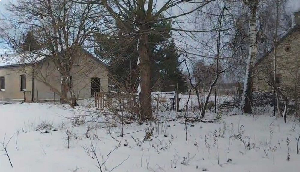 Na sprzedaż SIEDLISKO blisko lasu!