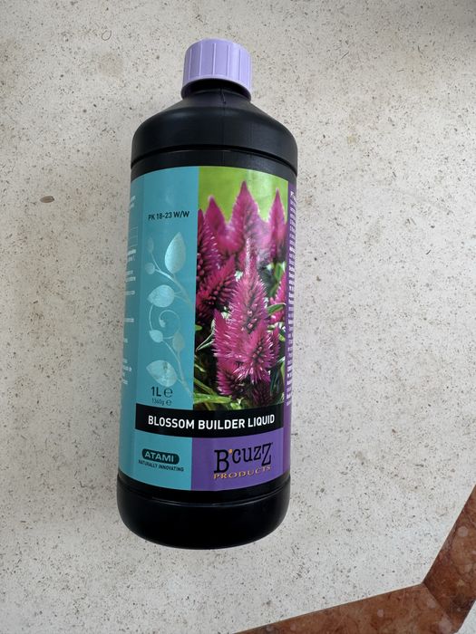 Atami Blossom Builder