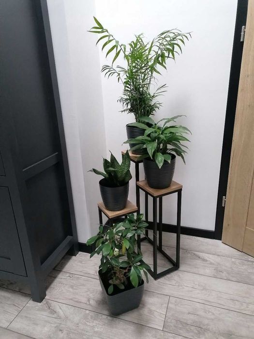 Stylowy kwietnik loftowy – metalowy stojak na kwiaty z półkami