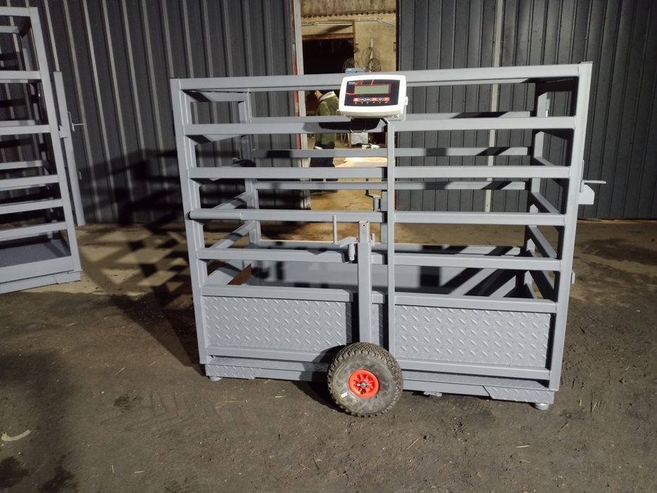 Nowa waga inwentarzowa do trzody Cieląt ,poskrom dla cieląt