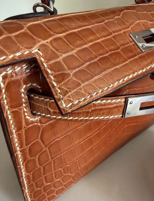 Hermes mini Alligator