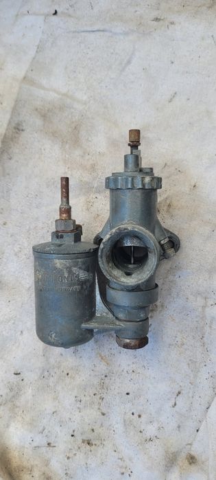 Gaznik panonia pannonia