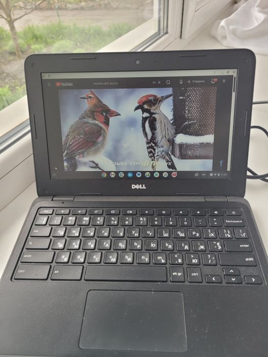 Хромбук Dell 3180