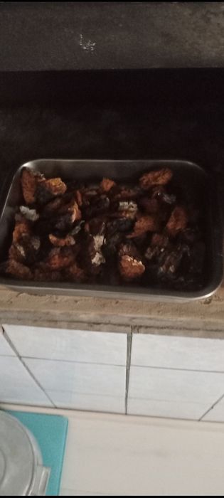 Чага березова свіжозібрана