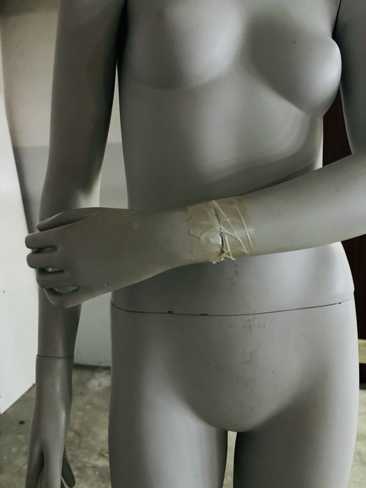 Manequim feminino completo