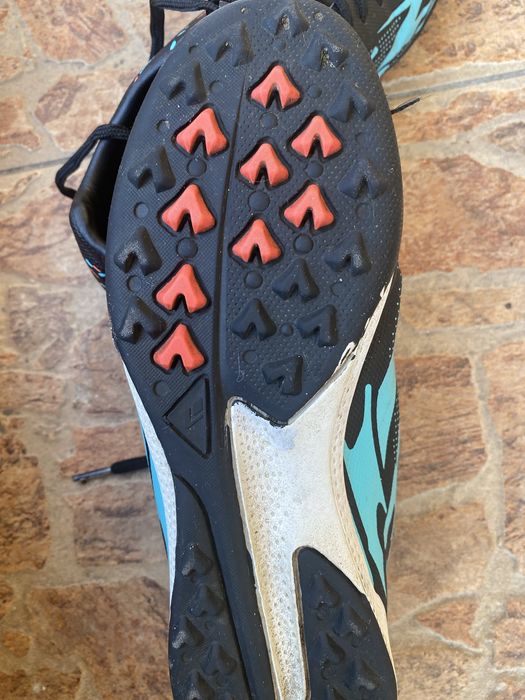 Сороконіжки  в ідеальному стані