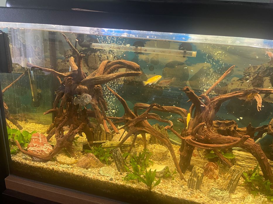 Oddam akwarium 200 l