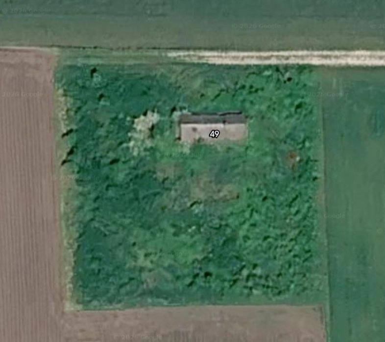Urokliwe siedlisko z potencjałem – duża działka 2500 m² w Sielcu Biskupim - Widok 4