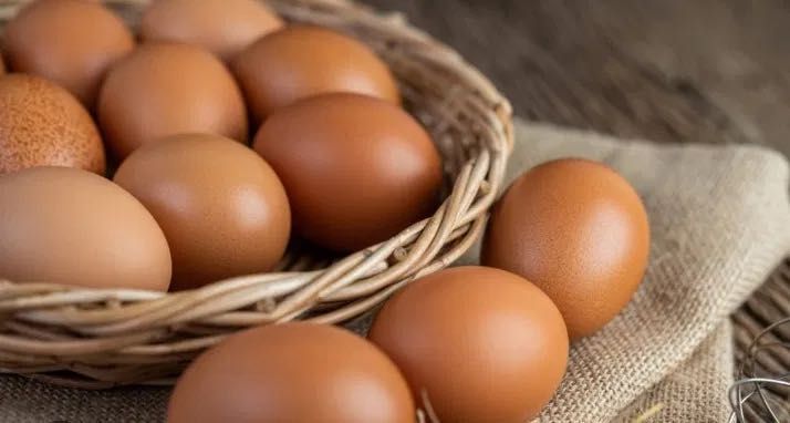 Ovos caseiros biológicos