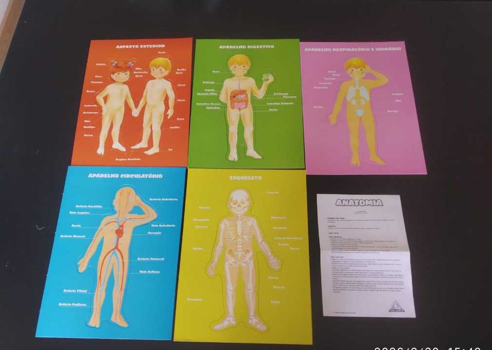 Jogo Didático “Anatomia”