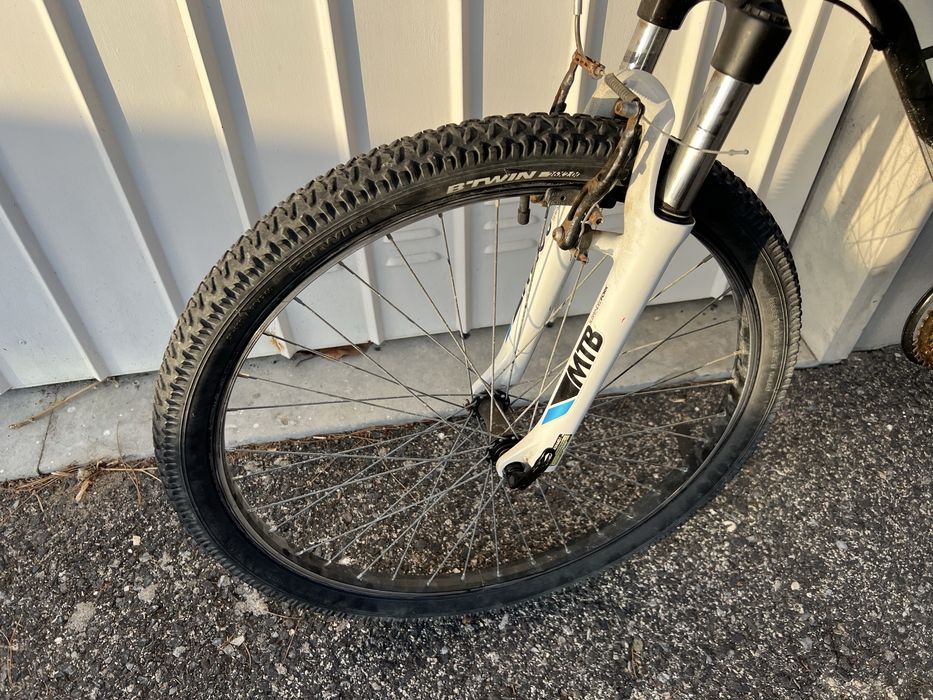Bicicleta de montanha do grau