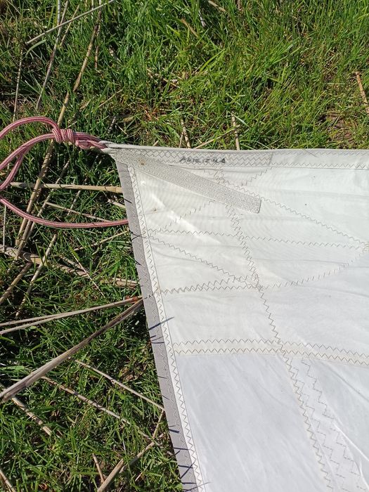 Spsprzedam foka samohalsującego do antili 33