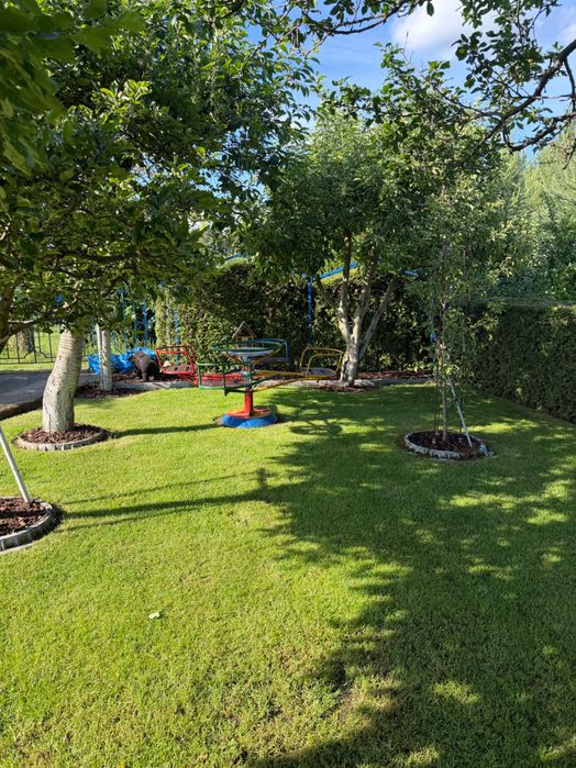 Działka ROD Zalesie Piła - Widok 4