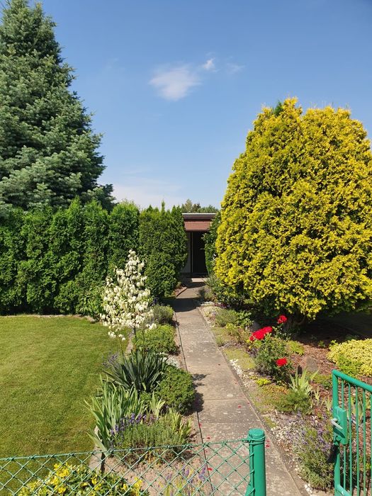 Sprzedam działkę ROD KONINKO