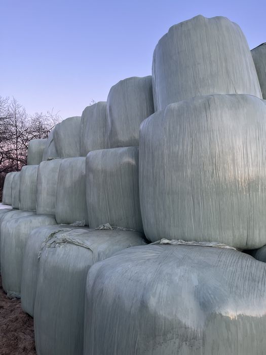 Sprzedam sianokiszonkę