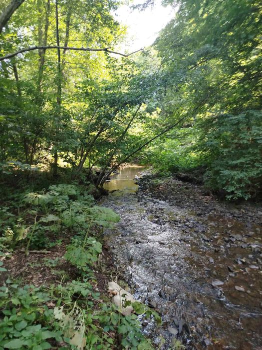 Будинок з ділянкою