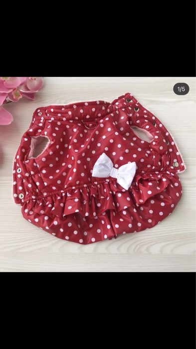 Одежда для собак