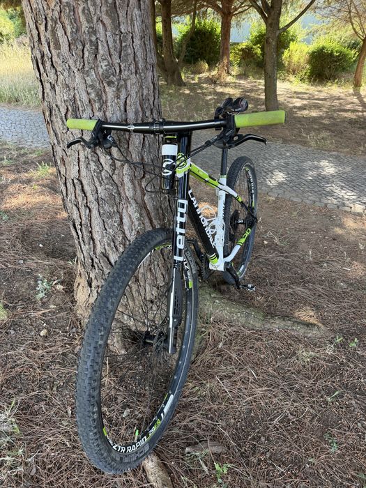 Cannoldale Carbono F29