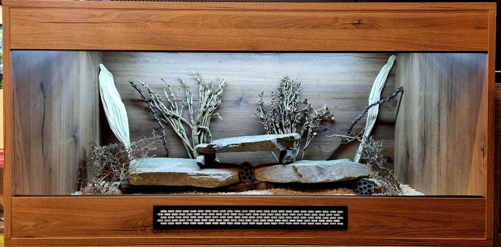 Terrarium 120x60x60 agama brodata jaszczurka