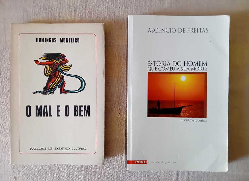 Livros  7€ | Abelaira, Mourão-Ferreira, Susana Tamaro, Inês Pedrosa