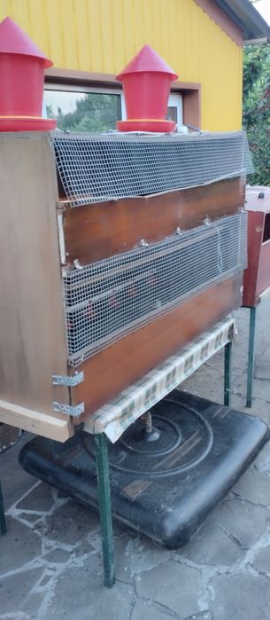 Перепелинная ферма