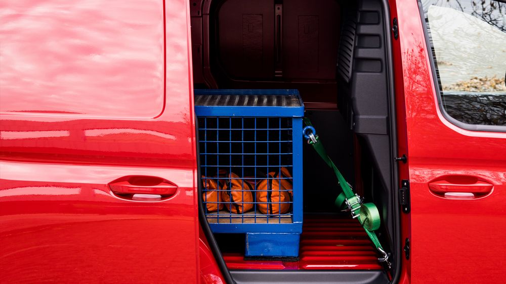 Zdjęcie w galerii numer 5