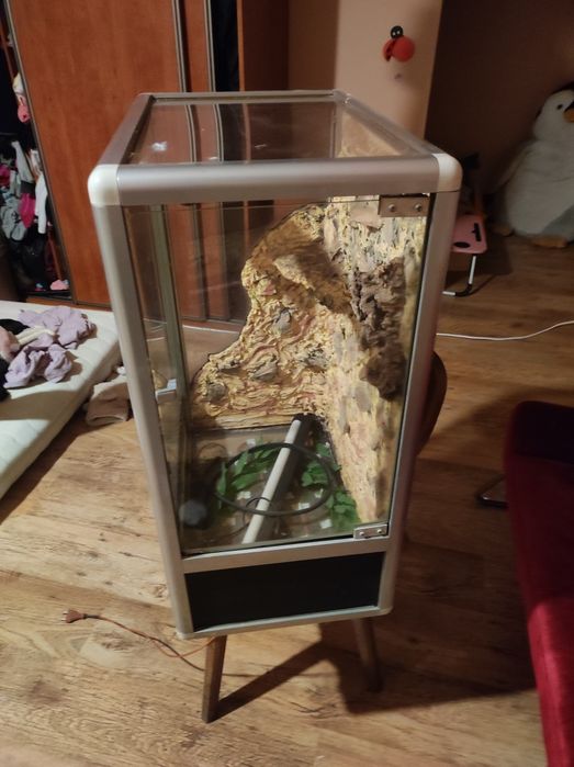 Terrarium dla jaszczurki