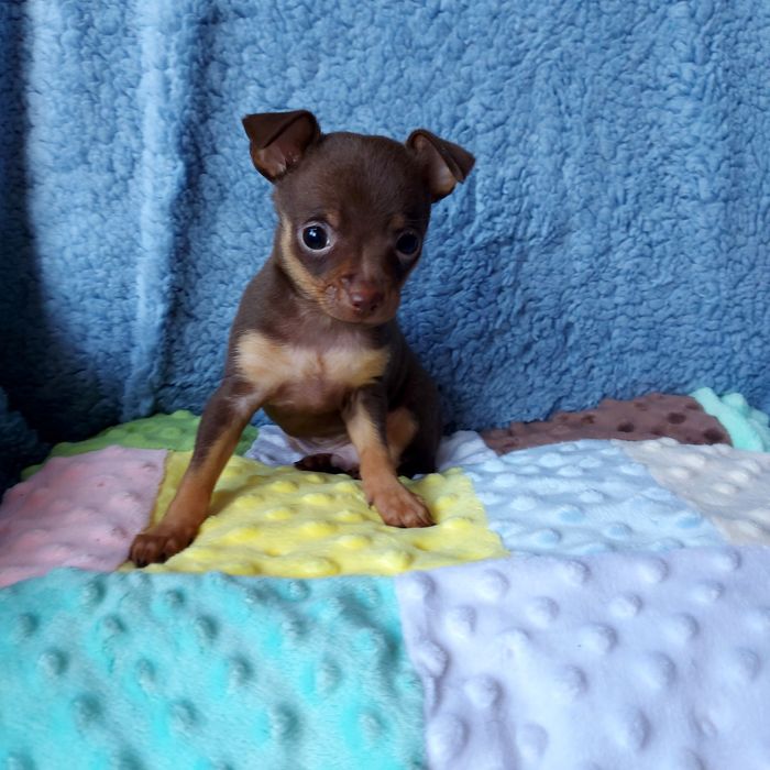 Мініатюрний хлопчик!